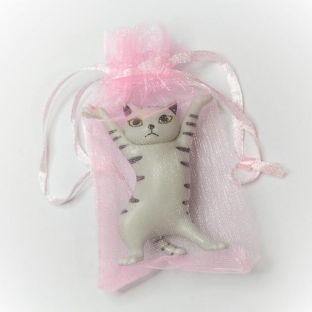 Gato Dançante Encantador