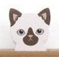 Gatinho Marrom